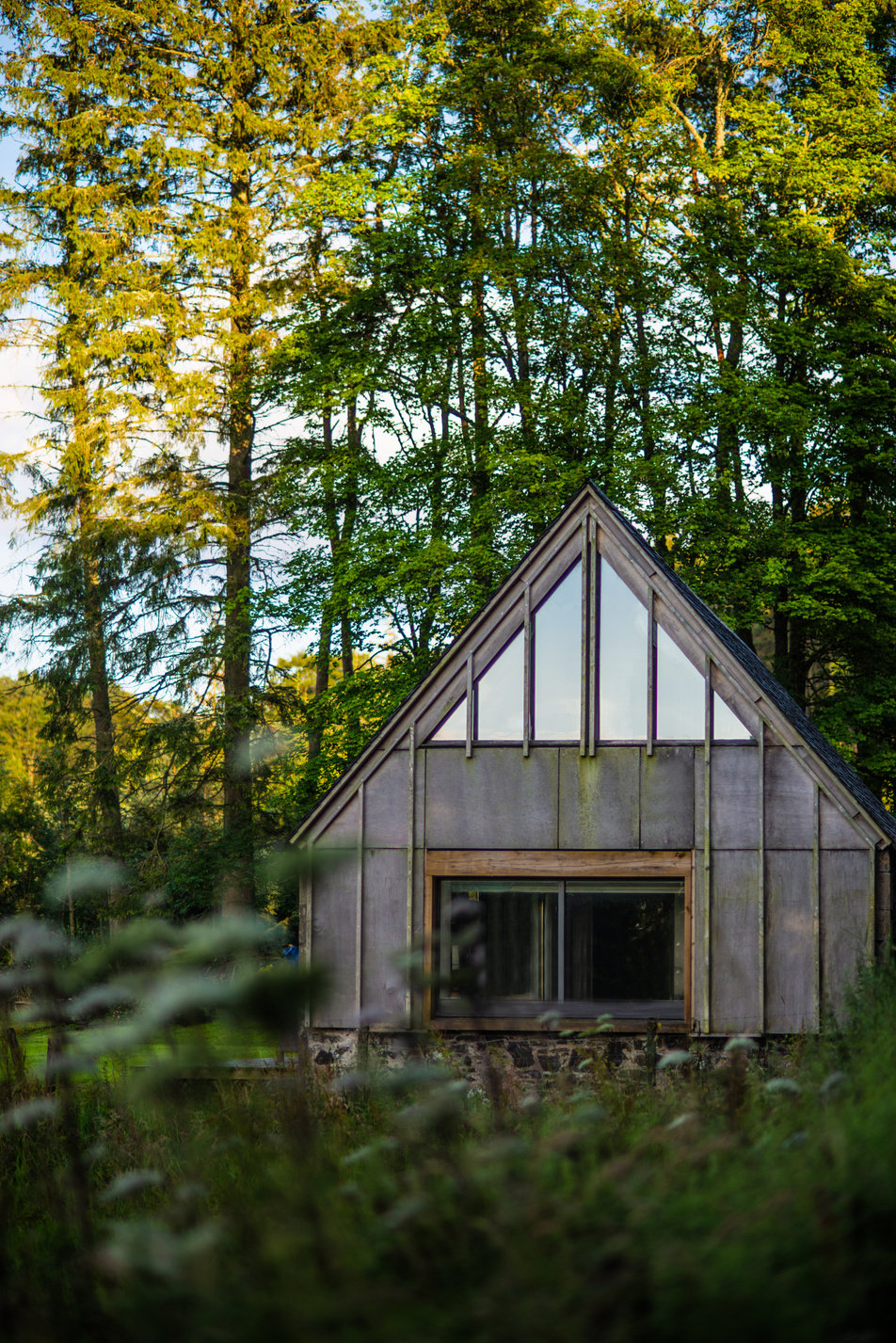 Wooden Cabin in Forest