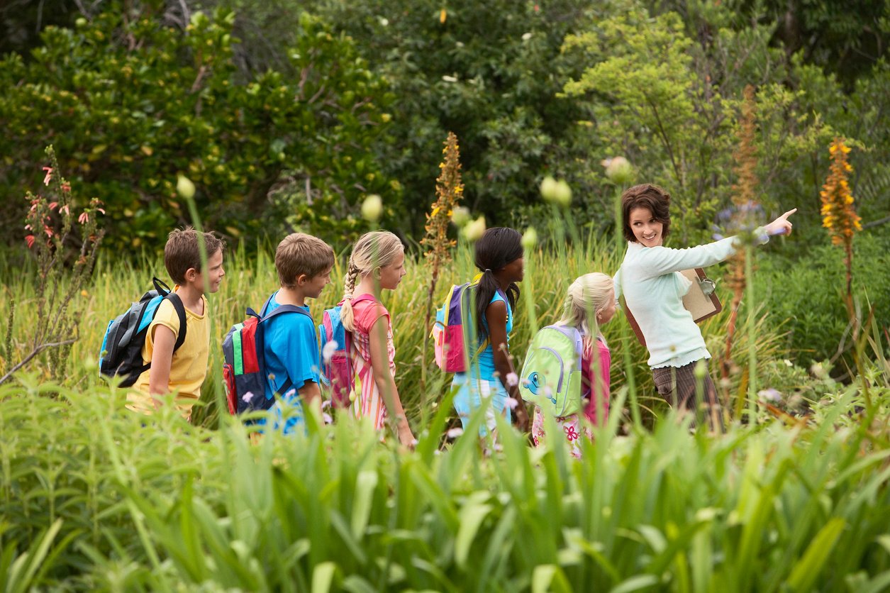 Children on nature field trip